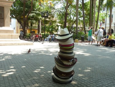 De aici îţi poţi cumpăra o pălărie Panameză pentru a te proteja de soare.