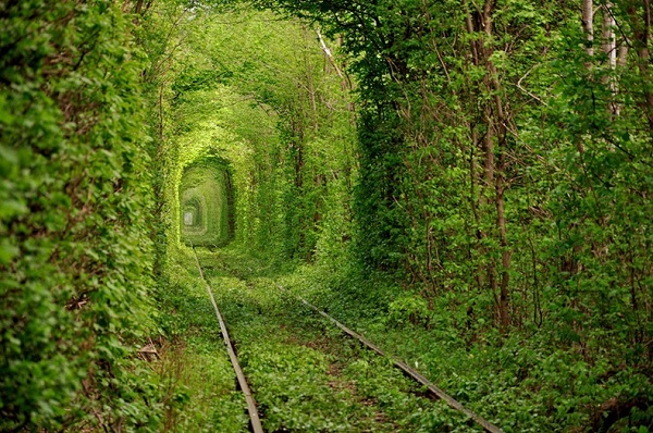 Tunnel of Love 4
