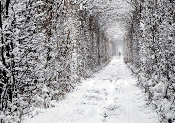 Tunnel of Love Winter