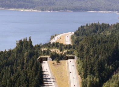 Podul din Keechelus Lake, Washington, America
