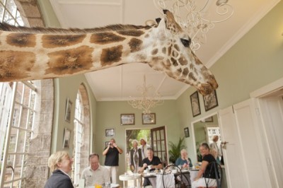 Hotelul Giraffe Manor 2