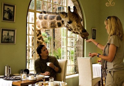 Hotelul Giraffe Manor2