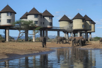 Hotelul Sarova Saltlick Game Lodge, Kenya